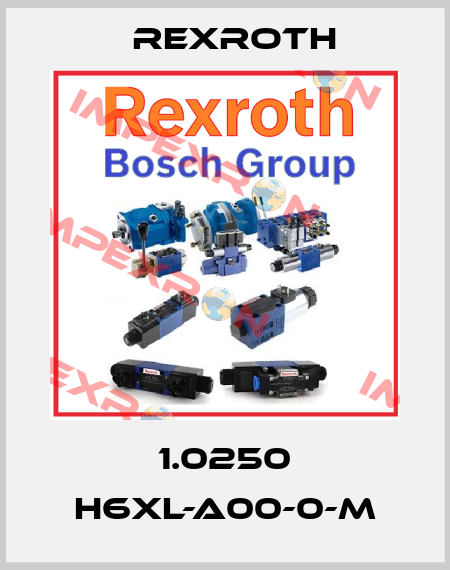 1.0250 H6XL-A00-0-M Rexroth