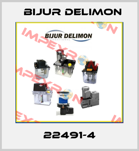 22491-4 Bijur Delimon