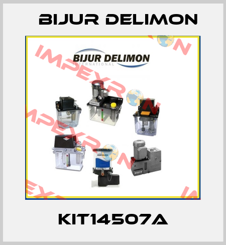 KIT14507A Bijur Delimon
