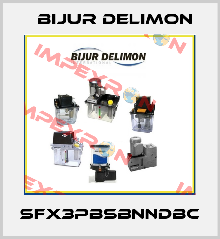 SFX3PBSBNNDBC Bijur Delimon