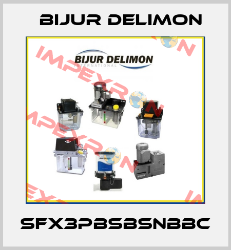 SFX3PBSBSNBBC Bijur Delimon