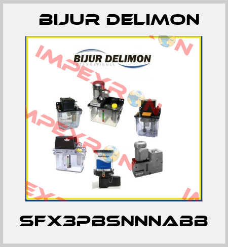 SFX3PBSNNNABB Bijur Delimon