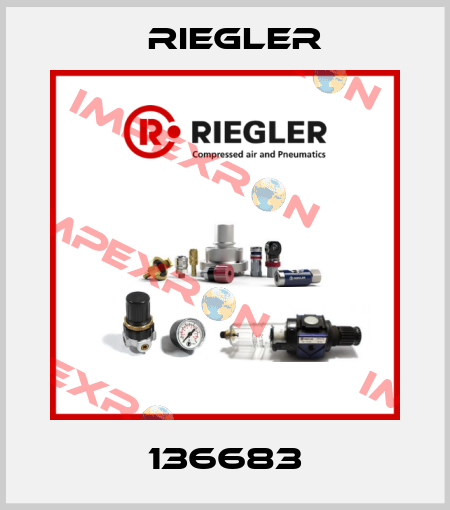 136683 Riegler