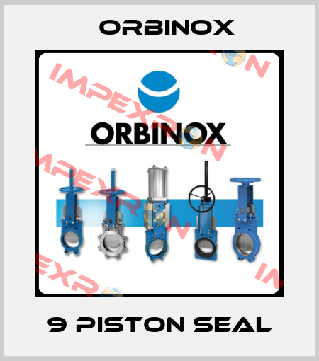 9 Piston seal Orbinox