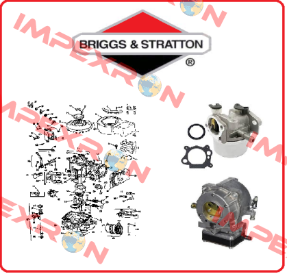 796201-BRI Briggs-Stratton