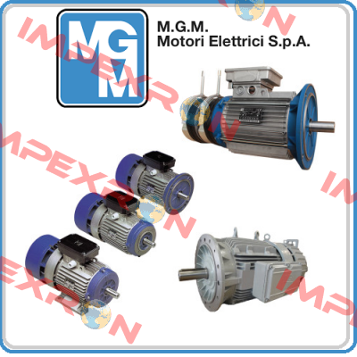 BA 180 LB4 (BA180LB4-B5-400/690V) M.G.M MOTORI