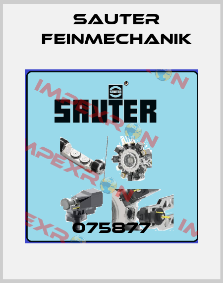075877 Sauter Feinmechanik