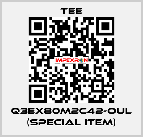 Q3EX80M2C42-OUL (special item) TEE