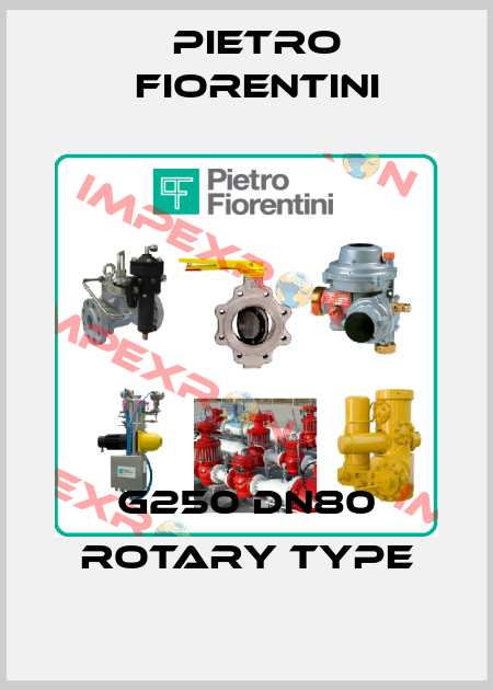 G250 DN80 rotary type Pietro Fiorentini
