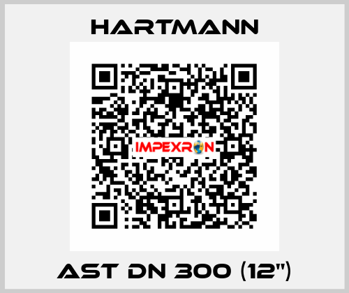 AST DN 300 (12") Hartmann