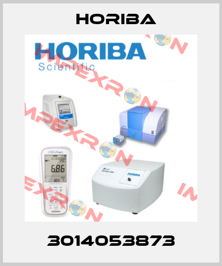3014053873 Horiba