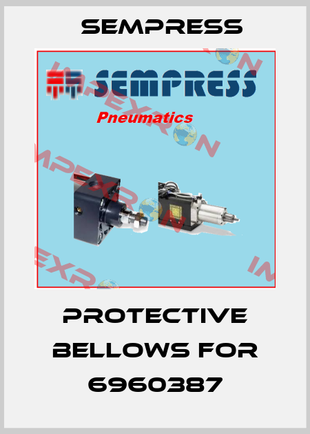 protective bellows for 6960387 Sempress