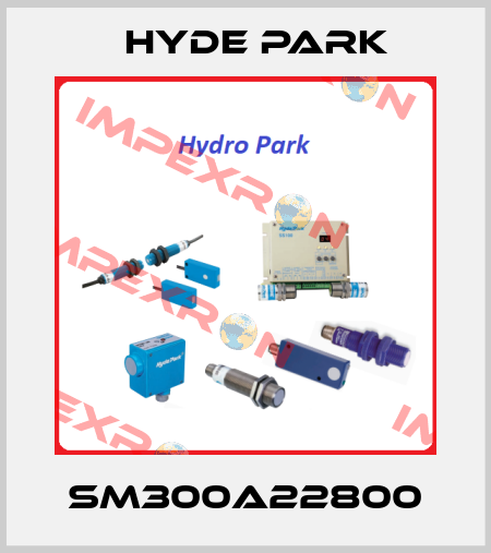 SM300A22800 Hyde Park