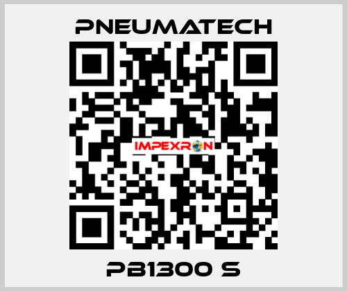 PB1300 S Pneumatech