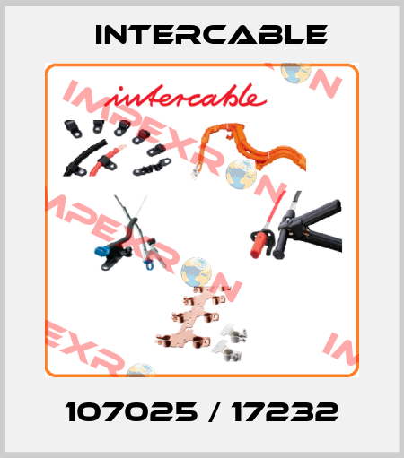 107025 / 17232 Intercable