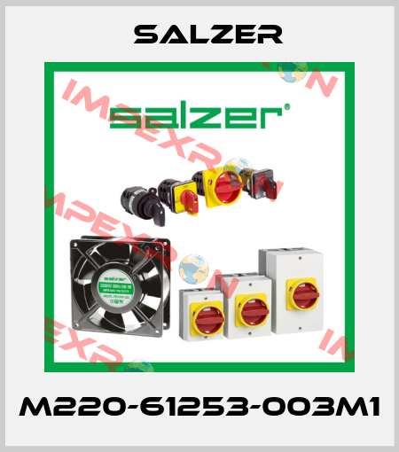 M220-61253-003M1 Salzer