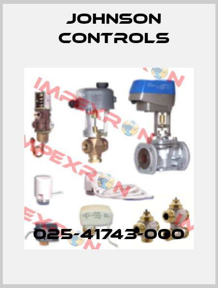 025-41743-000 Johnson Controls