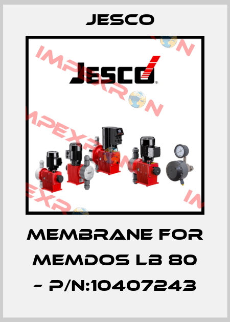 membrane for MEMDOS LB 80 – P/N:10407243 Jesco