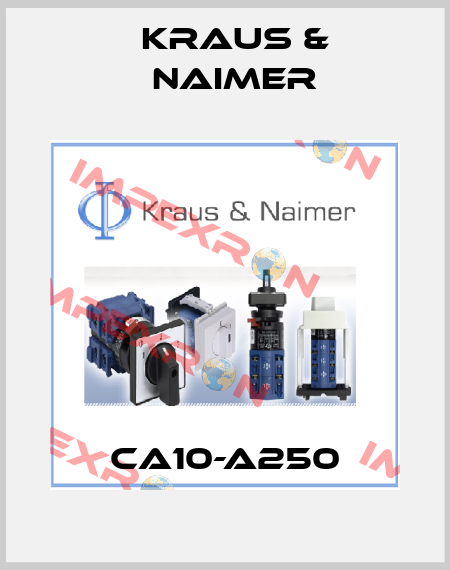 CA10-A250 Kraus & Naimer