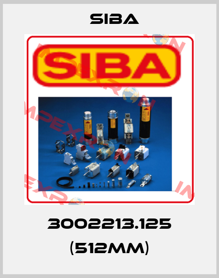 3002213.125 (512mm) Siba