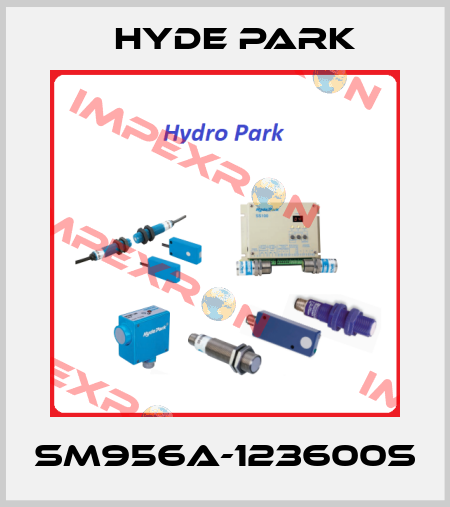 SM956A-123600S Hyde Park