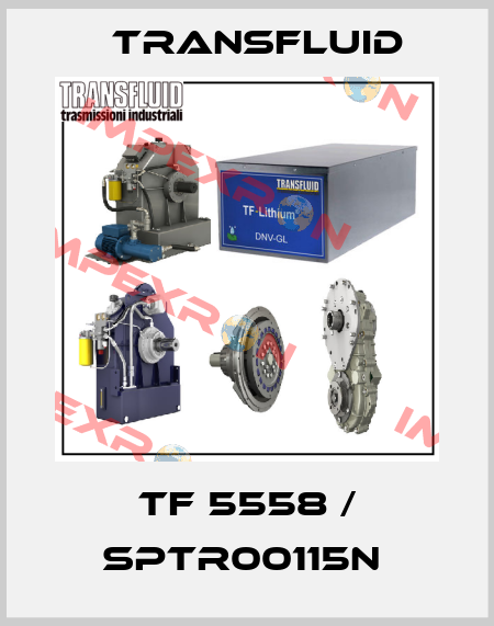 TF 5558 / SPTR00115N  Transfluid