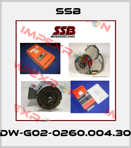 DW-G02-0260.004.30 SSB