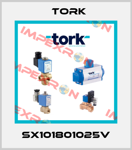 SX101801025V Tork
