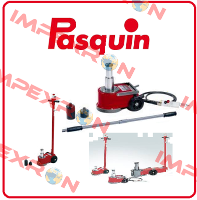 P302EX / P3318 Pasquin