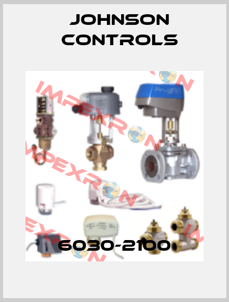 6030-2100 Johnson Controls