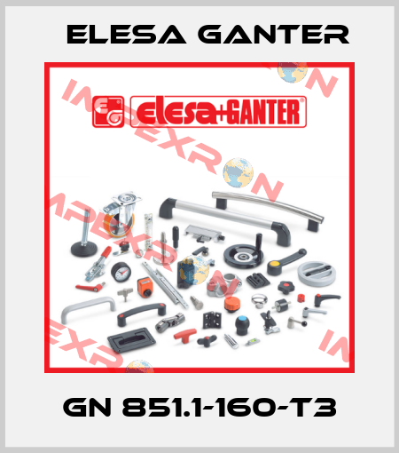 GN 851.1-160-T3 Elesa Ganter
