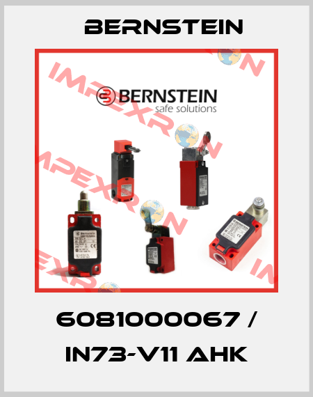 6081000067 / IN73-V11 AHK Bernstein