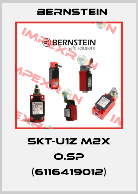 SKT-U1Z M2X O.SP (6116419012) Bernstein