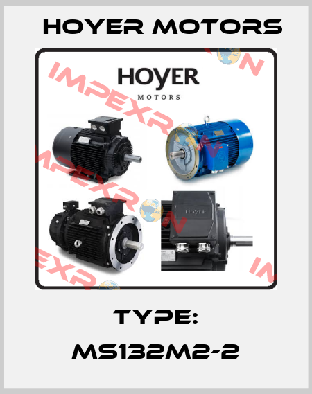 Type: MS132M2-2 Hoyer Motors