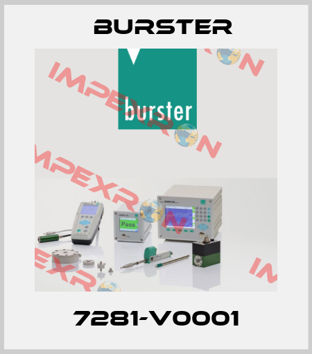 7281-V0001 Burster