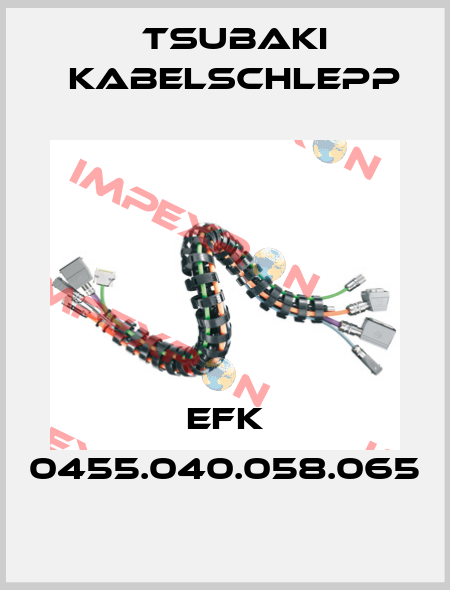 EFK 0455.040.058.065 Tsubaki Kabelschlepp