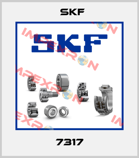7317 Skf
