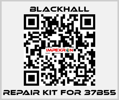 repair kit for 37B55 Blackhall