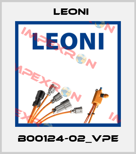 B00124-02_VPE Leoni