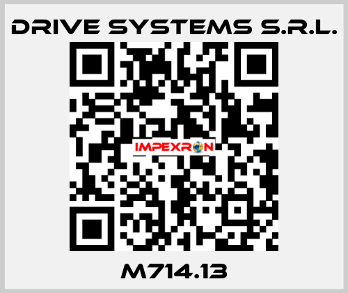 M714.13 DRIVE SYSTEMS s.r.l.