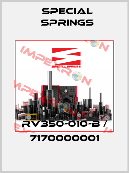 RV350-010-B / 7170000001 Special Springs