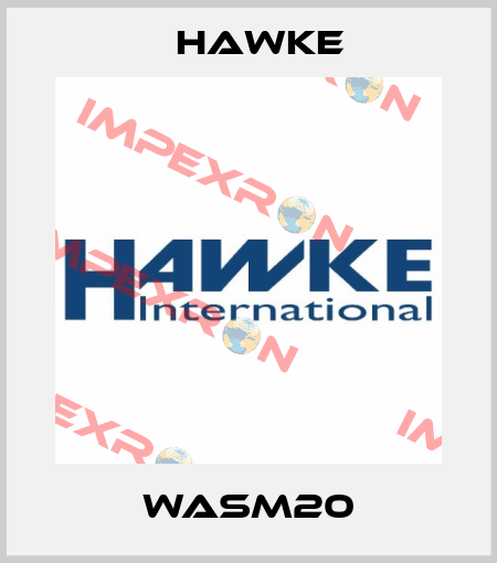 WASM20 Hawke