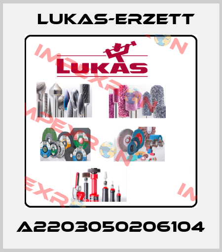 A2203050206104 Lukas-Erzett