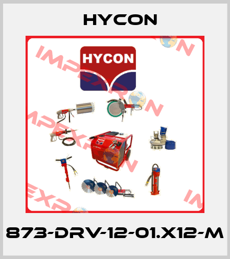 873-DRV-12-01.X12-M Hycon