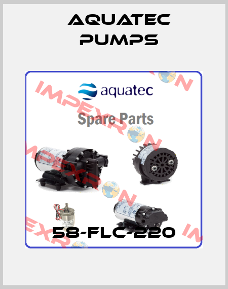 58-FLC-220 Aquatec Pumps