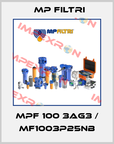 MPF 100 3AG3 / MF1003P25NB MP Filtri