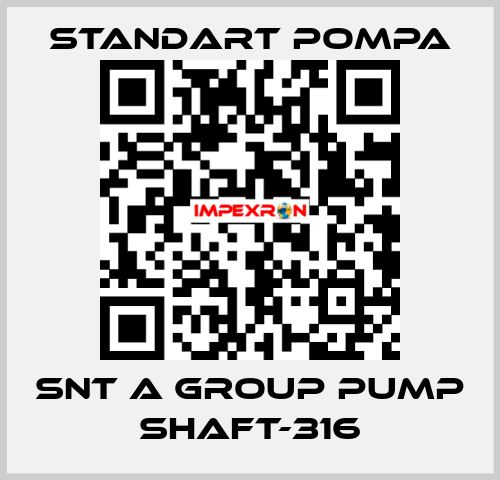 SNT A GROUP PUMP SHAFT-316 STANDART POMPA