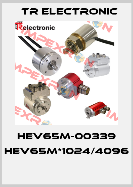 HEV65M-00339 HEV65M*1024/4096  TR Electronic