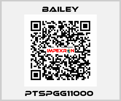  PTSPGG11000  Bailey