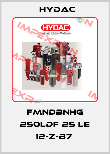 FMNDBNHG 250LDF 25 LE 12-Z-B7  Hydac